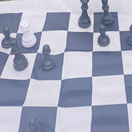 Spiele gefördert über Fördergelder Schachbrett mit schwarzen und einem weißen Bauern sowie einer weißen Königfigur.