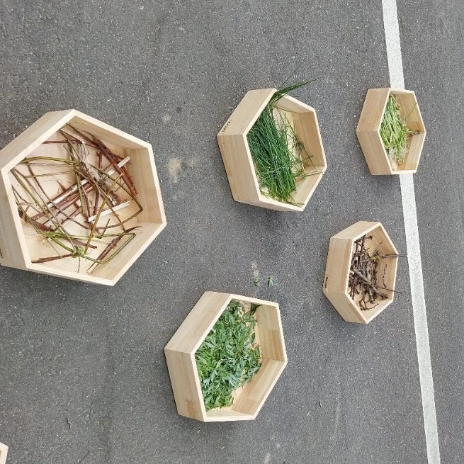 Aktionspfad zum Tag der Gleichstellung Sechseckige Holzbehälter mit verschiedenen Pflanzen und Zweigen auf einem grauen Boden.